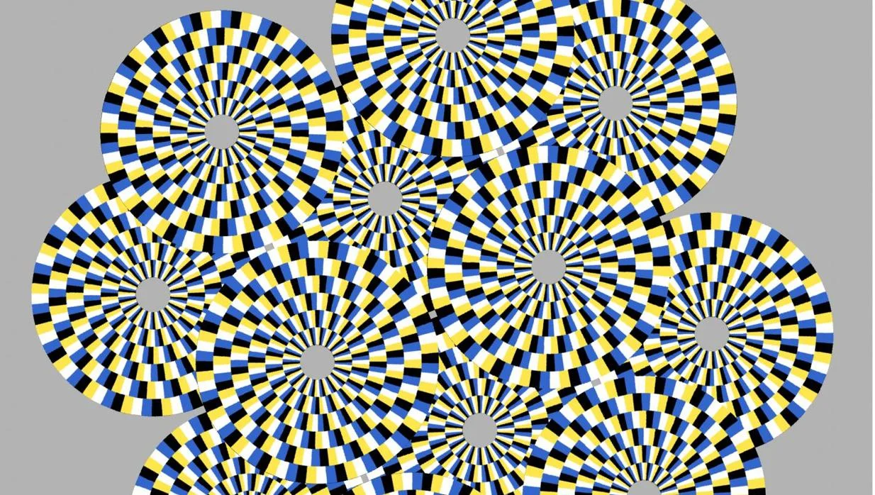 240792_web-kuSG--1248x698@abc.webp