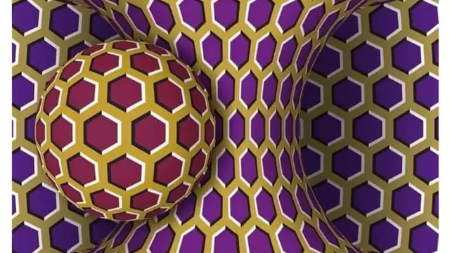 _103927763_44190191_2160165127350452_3001085544559017984_n.jpg.webp